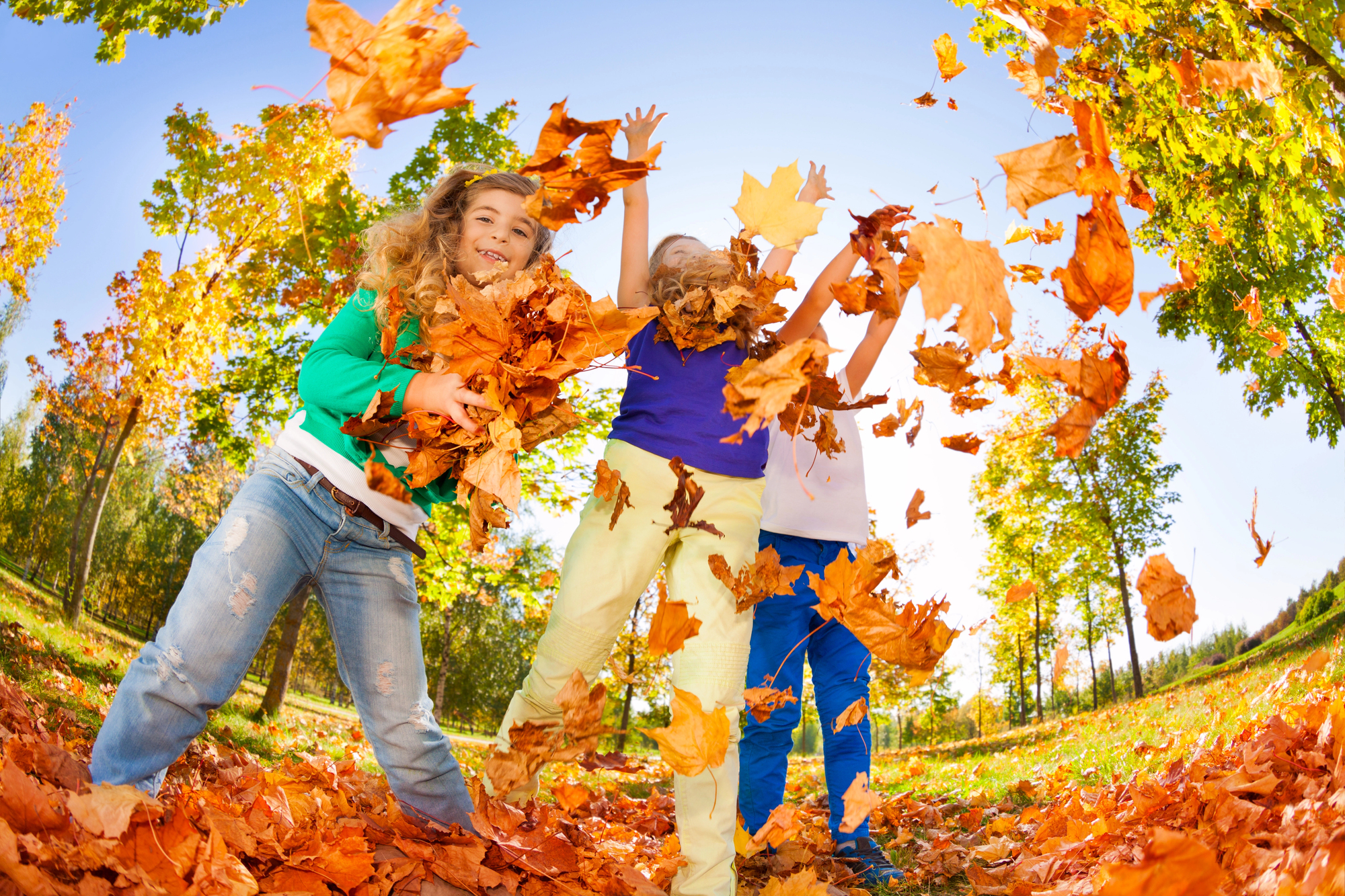 Autumn Adventures in Academics