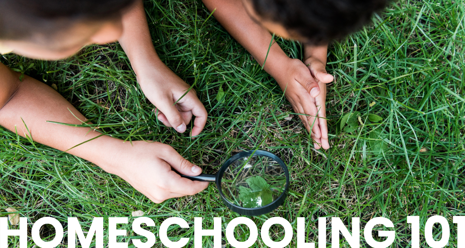 Homeschooling on a Budget