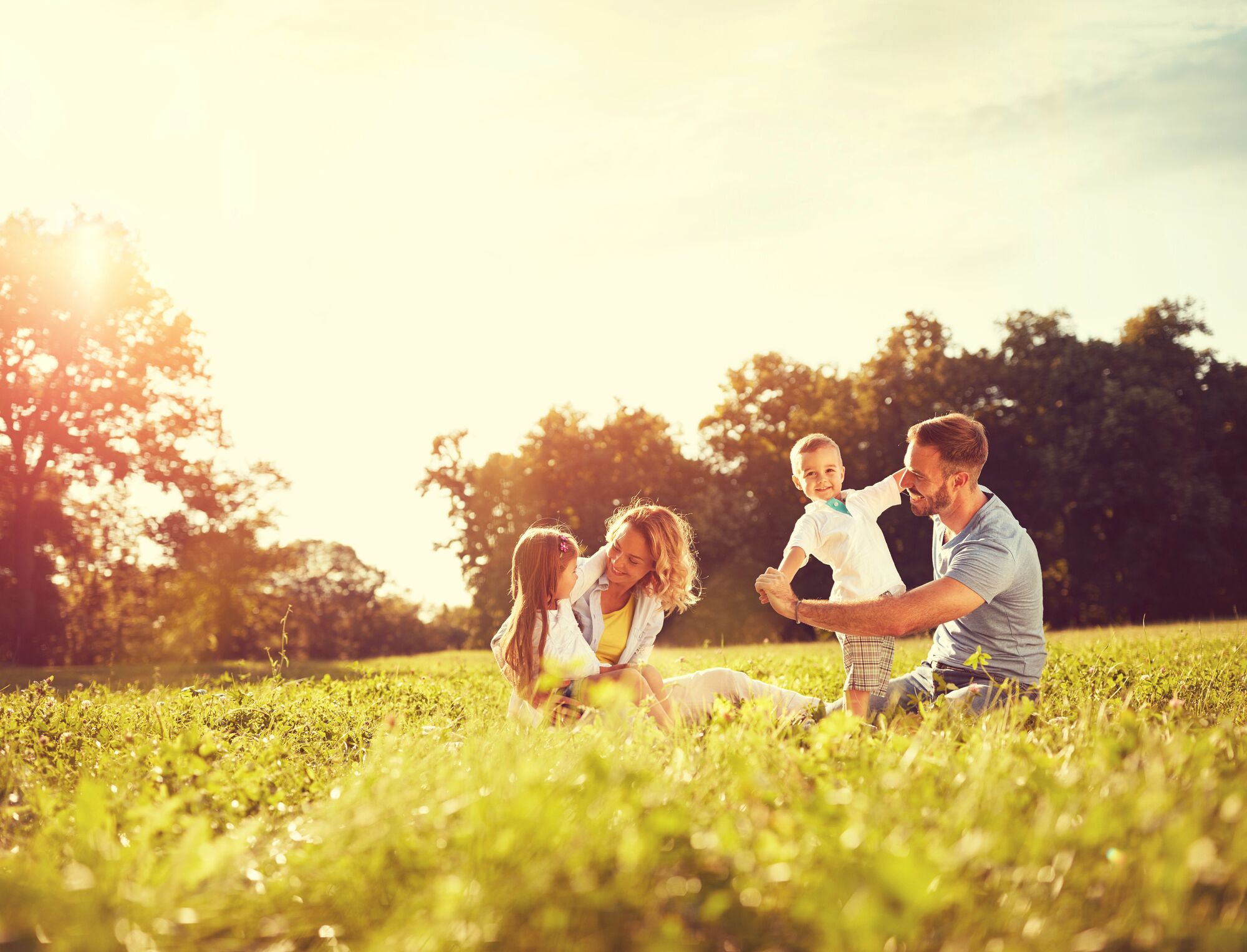 A mother, father, and two children playing together outdoors in a sunlit field