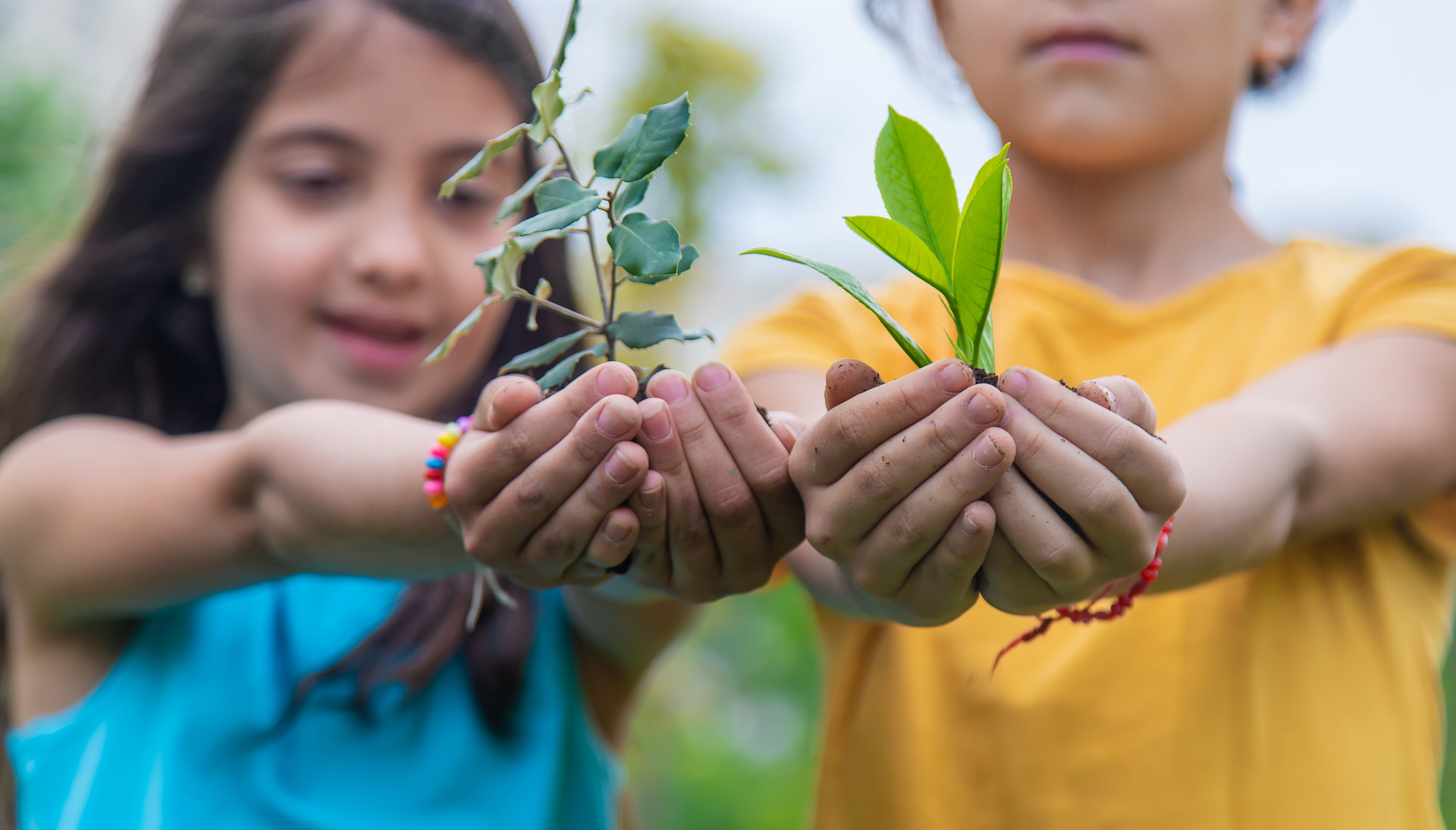 Sticks in the Mud: 7 Ways to Get Stuck on Outdoor Education - Christian ...